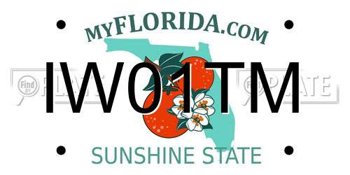 IW01TM Florida License Plate