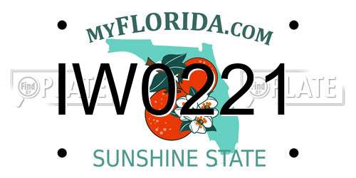 IW0221 Florida License Plate