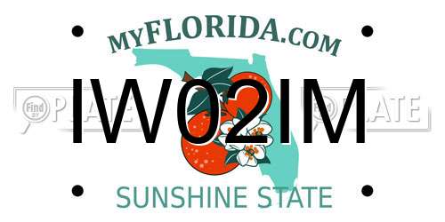IW02IM Florida License Plate