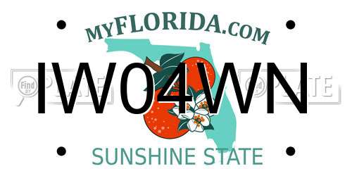 IW04WN Florida License Plate