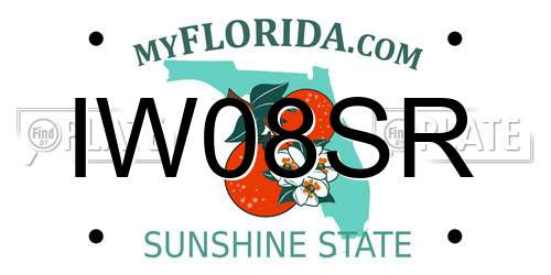IW08SR Florida License Plate