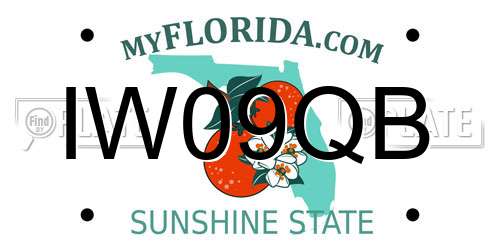 IW09QB Florida License Plate