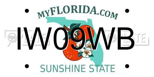IW09WB Florida License Plate