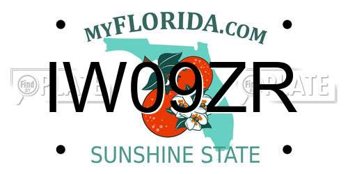 IW09ZR Florida License Plate