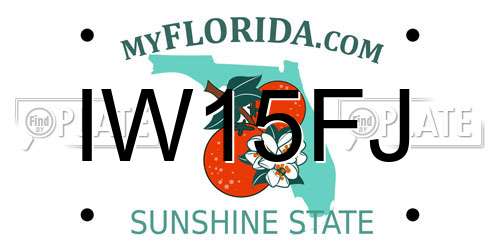 IW15FJ Florida License Plate