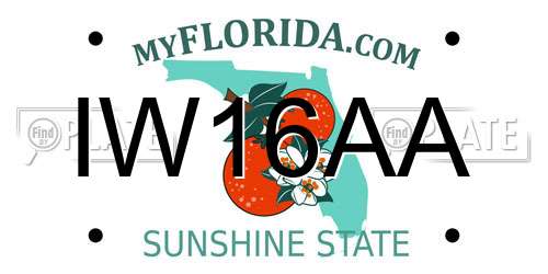 IW16AA Florida License Plate