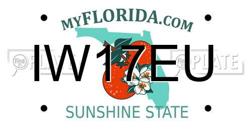 IW17EU Florida License Plate