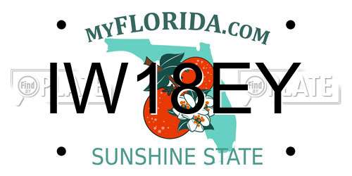 IW18EY Florida License Plate