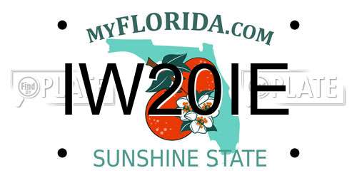 IW20IE Florida License Plate