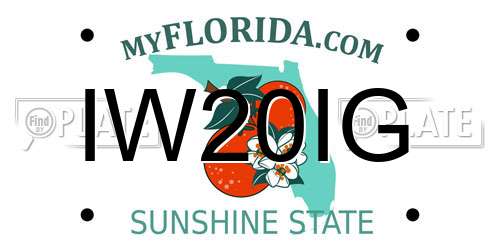 IW20IG Florida License Plate
