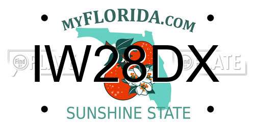 IW28DX Florida License Plate