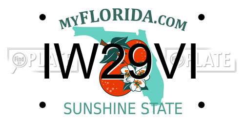 IW29VI Florida License Plate