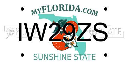 IW29ZS Florida License Plate