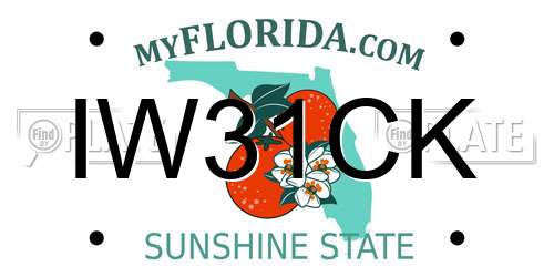 IW31CK Florida License Plate