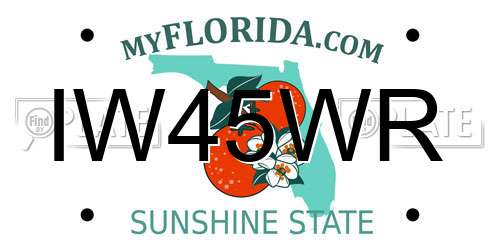 IW45WR Florida License Plate