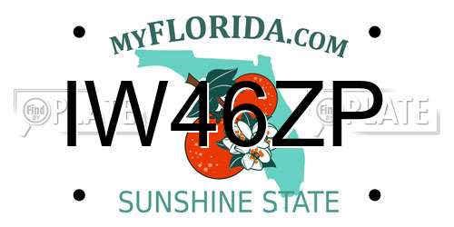 IW46ZP Florida License Plate