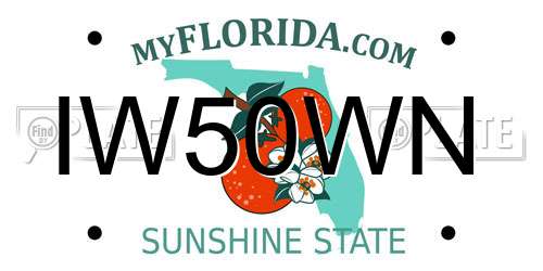 IW50WN Florida License Plate