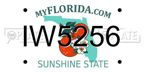 IW5256 Florida License Plate