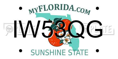 IW53QG Florida License Plate