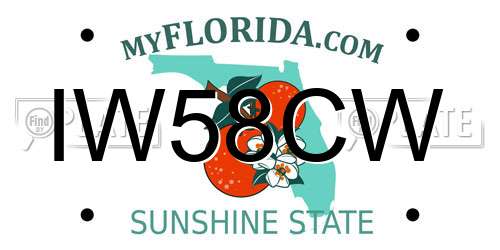 IW58CW Florida License Plate