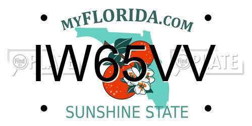 IW65VV Florida License Plate
