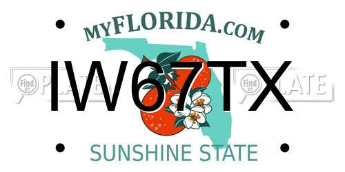 IW67TX Florida License Plate