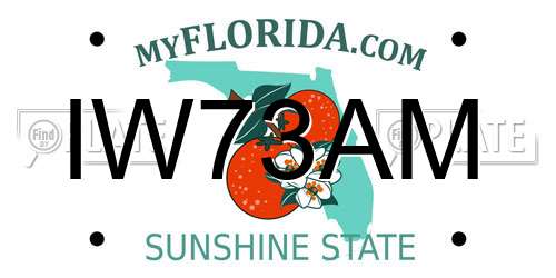 IW73AM Florida License Plate