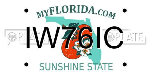 IW76IC Florida License Plate