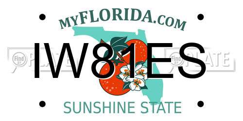 IW81ES Florida License Plate