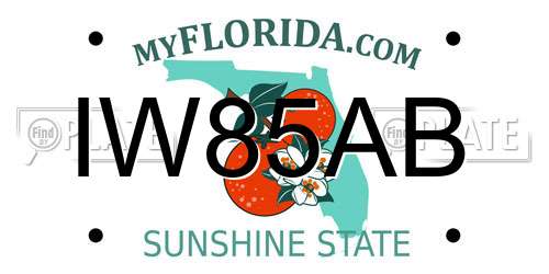 IW85AB Florida License Plate