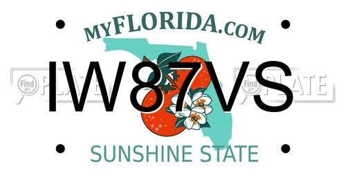 IW87VS Florida License Plate