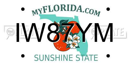 IW87YM Florida License Plate