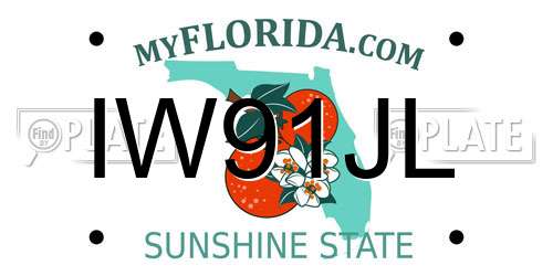 IW91JL Florida License Plate