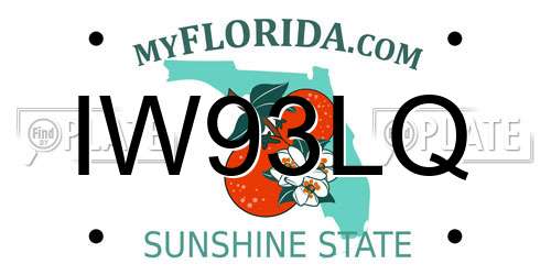 IW93LQ Florida License Plate