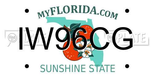 IW96CG Florida License Plate