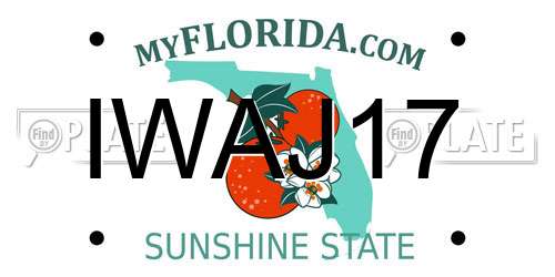 IWAJ17 Florida License Plate