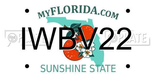 IWBV22 Florida License Plate