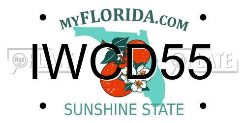 IWCD55 Florida License Plate