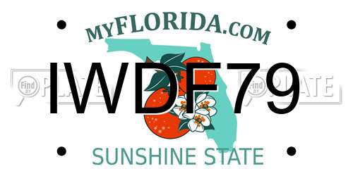 IWDF79 Florida License Plate