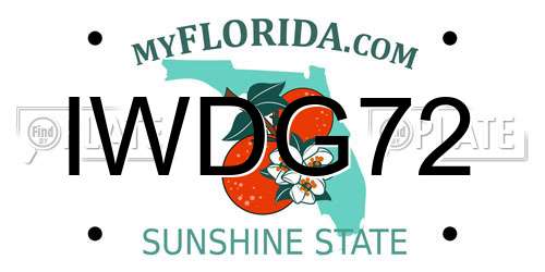 IWDG72 Florida License Plate