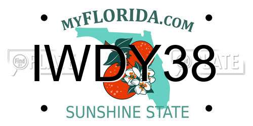 IWDY38 Florida License Plate