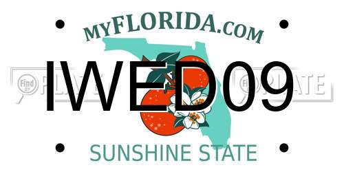 IWED09 Florida License Plate