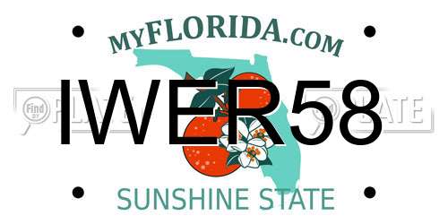 IWER58 Florida License Plate