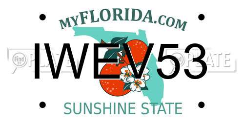 IWEV53 Florida License Plate