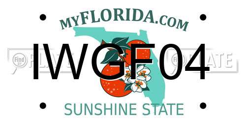 IWGF04 Florida License Plate