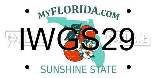 IWGS29 Florida License Plate