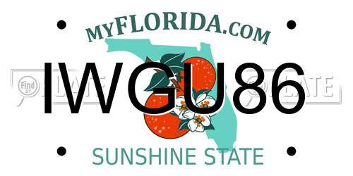 IWGU86 Florida License Plate