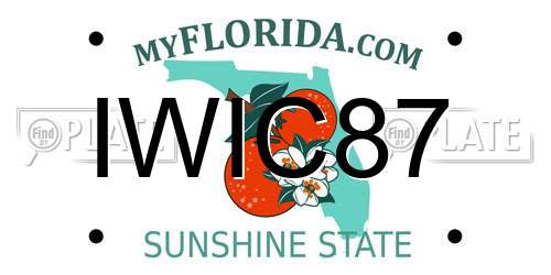 IWIC87 Florida License Plate
