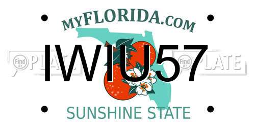 IWIU57 Florida License Plate