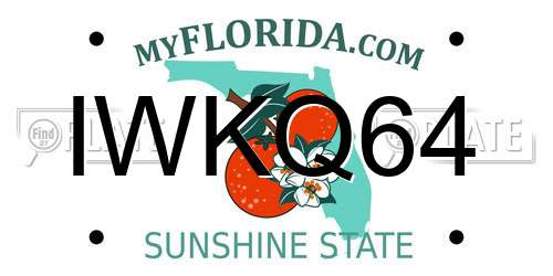 IWKQ64 Florida License Plate
